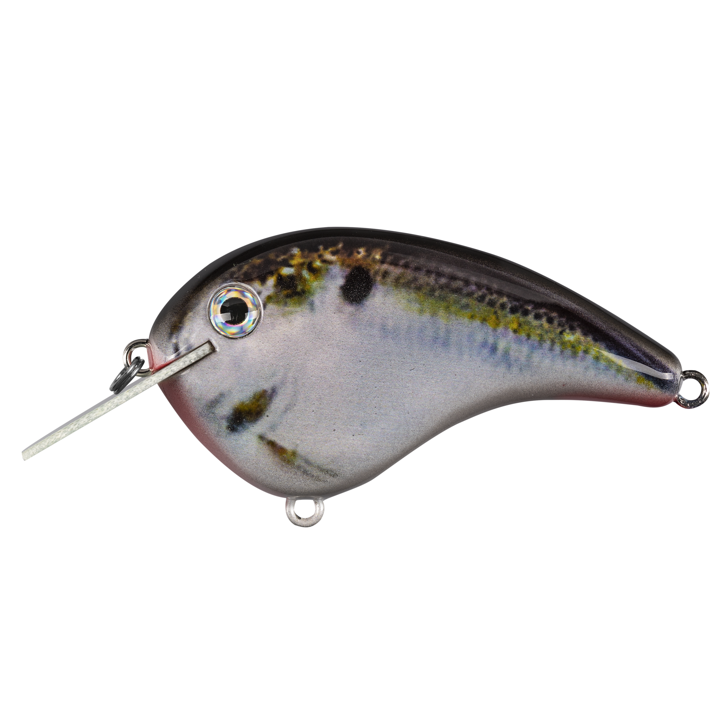 Strike King Chick Magnet Flatside Crankbait Fishing Lure Natural Shad