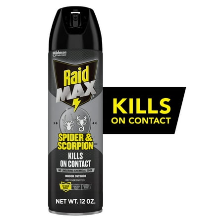 Raid Max Indoor & Outdoor Spider & Scorpion Killer Bug Spray, 12 oz