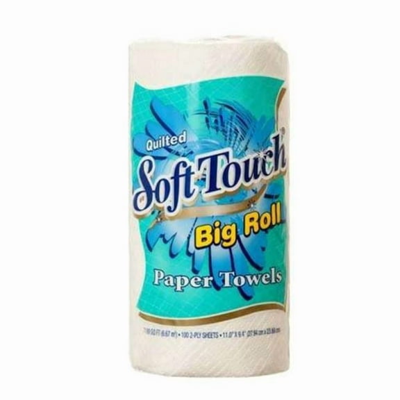 DDI 2381987 Soft Touch Paper Towels - 100 Sheet, 2-ply - Case of 24