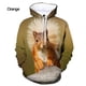 thumbnail image 5 of Sudadera con capucha divertida y linda con estampado de ardilla para hombres y mujeres, sudaderas casuales de manga larga con estampado completo de ardilla, sudaderas con capucha para niños, 5 of 5