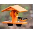 thumbnail image 1 of Comedero para pájaros Oriole de doble taza con clavijas naranjas, 1 of 8