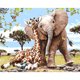 thumbnail image 1 of Cuadros Decorativos Kit de cuadros pintados a mano de animales en la tierra pintura al óleo por números conjunto sin marco Ehuebsd Nuevos Originales, 1 of 5