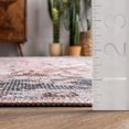 thumbnail image 2 of nuLOOM Sasha Machine Washable Medallion Ultra Thin Area Rug, 6x9, Pink, 2 of 6