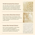 thumbnail image 7 of Rice Toner, Rice Toner for Face, Milky Toner for Glowing Skin, Korean Rice, Glow Essence with Niacinamide, Hydrating for Dry, Dull, Combination Skin, Vegan, Fragrance Free, 7 of 7