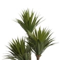 thumbnail image 4 of DecMode 42" Artificial Date Palm Plant in Realistic Leaves and White Fiberglass Pot, 4 of 8