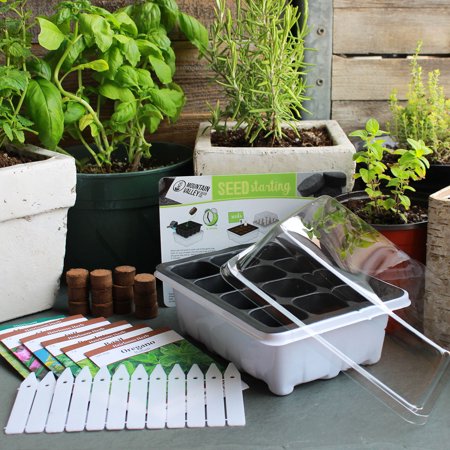 Buy Indoor Culinary Herb Garden Starter - Basic Kit - 6 Non-gmo Varieties - Grow Cooking Herbs Spices - Seeds Basil Dill Parsley Chives Mustard Oregano Online In Indonesia 483378691
