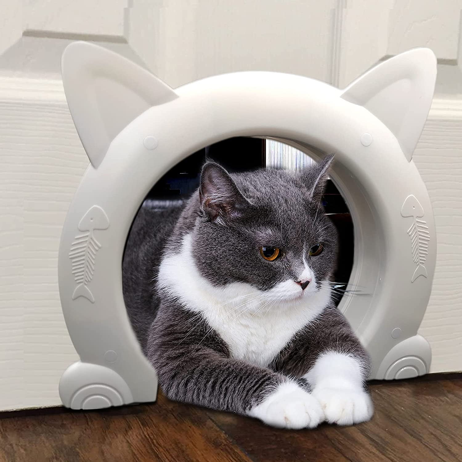 cat door for inside house