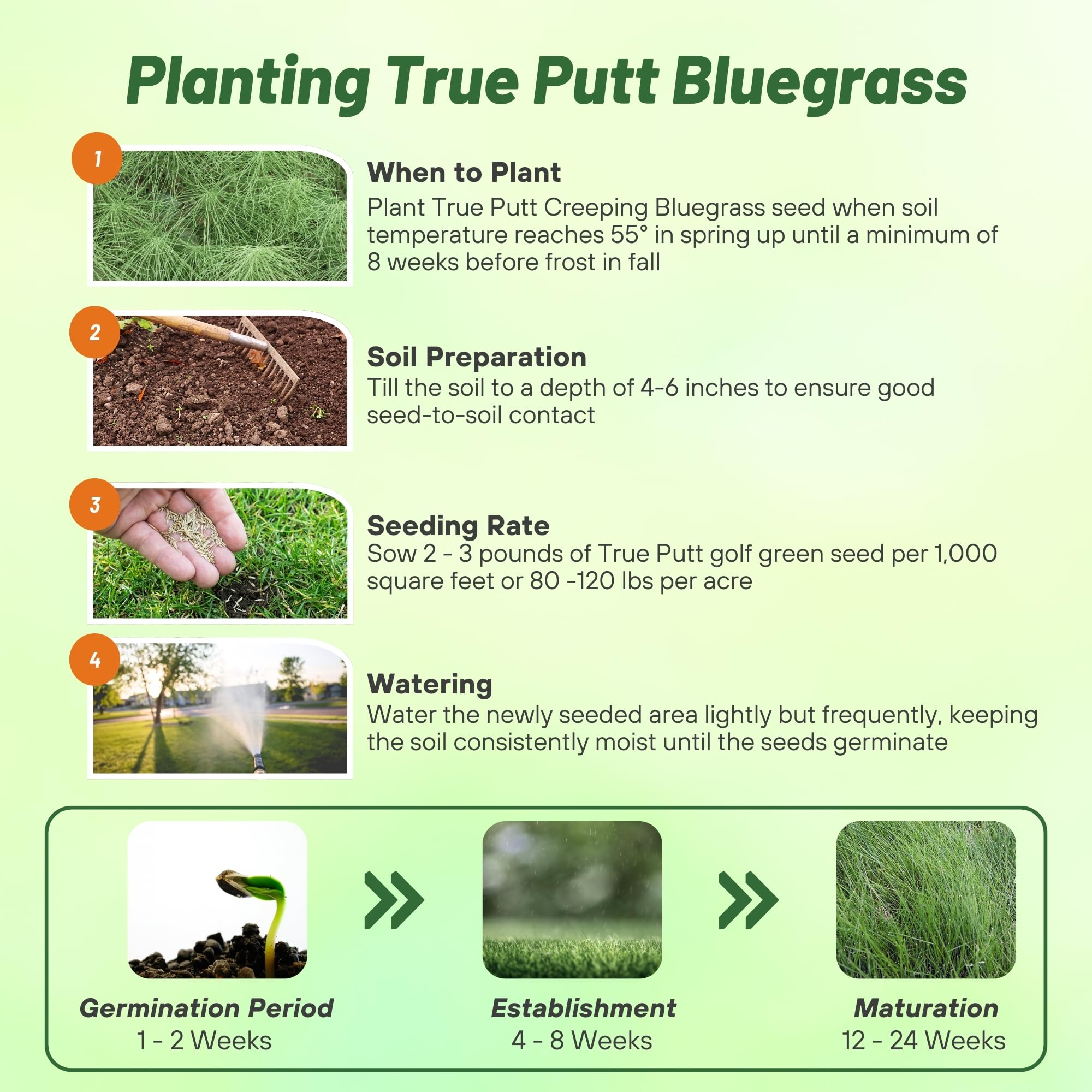 Outsidepride 5 lb. Perennial Shade Tolerant Creeping Bluegrass for Golf Courses & Home Putting Greens