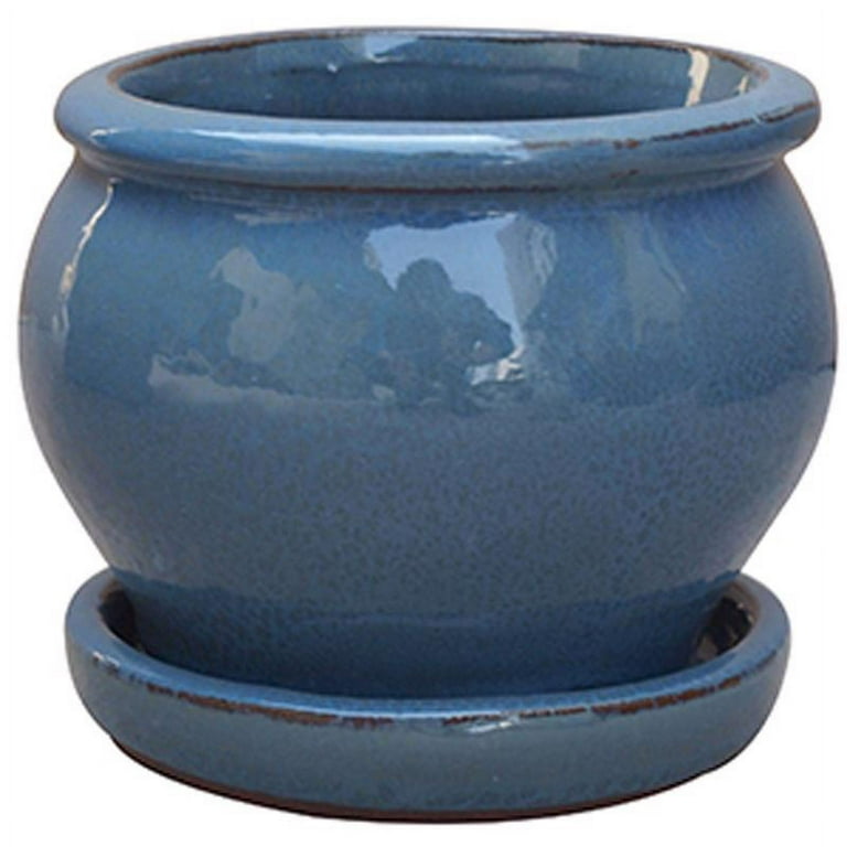 Trendspot 4 in. D Ceramic Planter Assorted