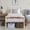 White, variant on Mintazer Kids Twin Metal Platform Bed Frame with Cute Bowknot Headboard & Footboard for Boys Girls Teens, Purple