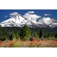 thumbnail image 3 of Taylor, Douglas 14x11 Black Modern Framed Museum Art Print Titled - Indian Paintbrush, 3 of 5