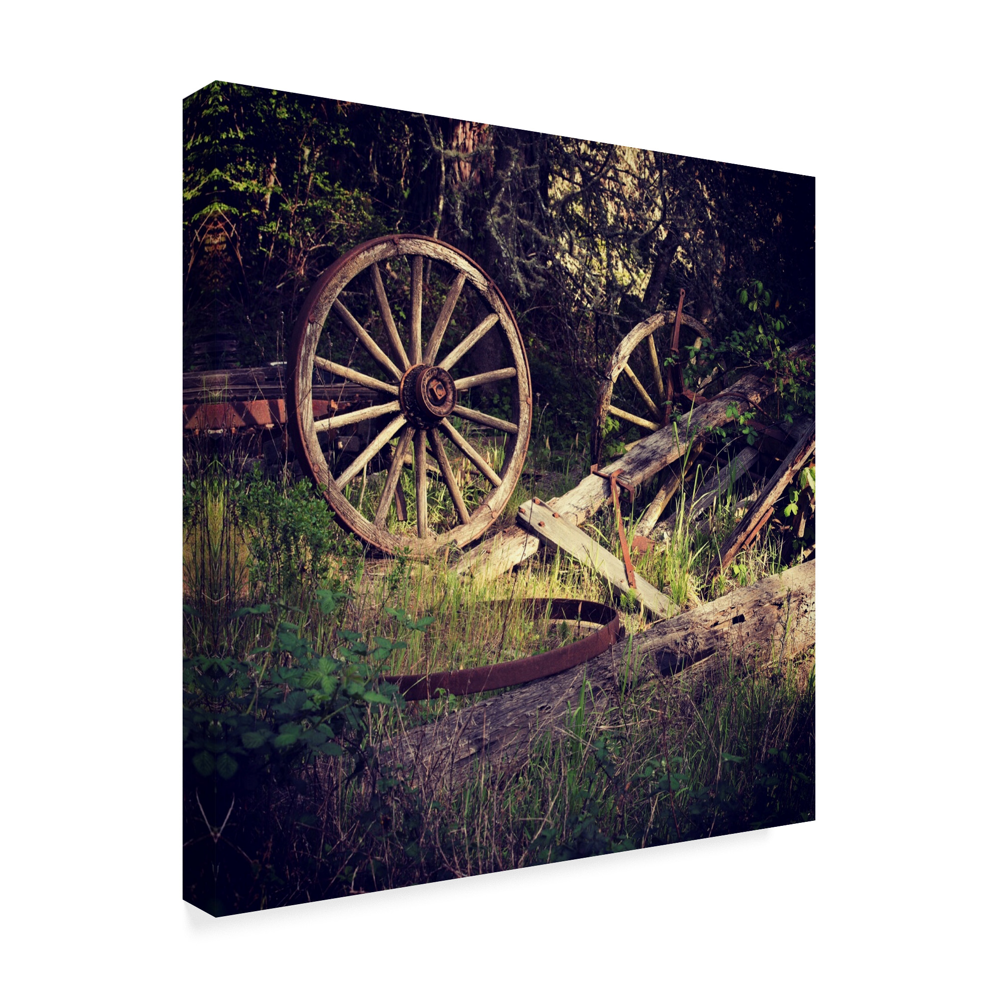 Trademark Fine Art 'Wagon Wheels' Canvas Art by Lance Kuehne
