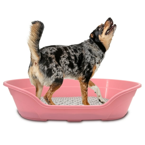 KE WOOW Cama Mediana para Perro, Gato, Conejo y otras Mascotas, Cesta de Plástico, Incluye Colchón Doble Cara , Color Rosa KE WOOW Cama Plana con colchón mediana