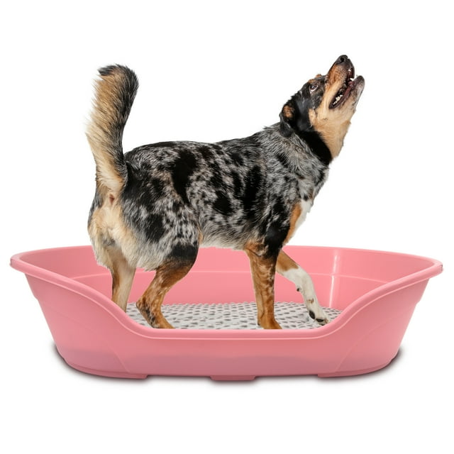 KE WOOW Cama Mediana para Perro, Gato, Conejo y otras Mascotas, Cesta de Plástico, Incluye Colchón Doble Cara , Color Rosa KE WOOW Cama Plana con colchón mediana