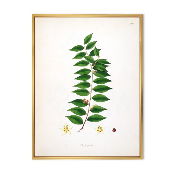 Designart 'Ancient London Plants VI' Farmhouse Framed Canvas Wall Art Print