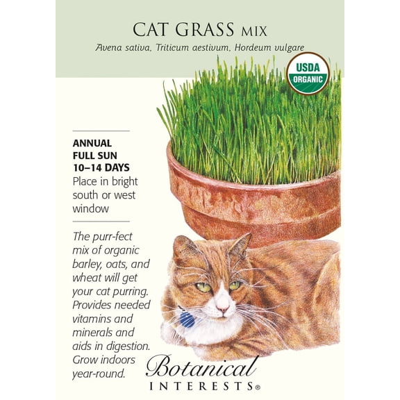 Organic Cat Grass Mix Seeds - 15 grams