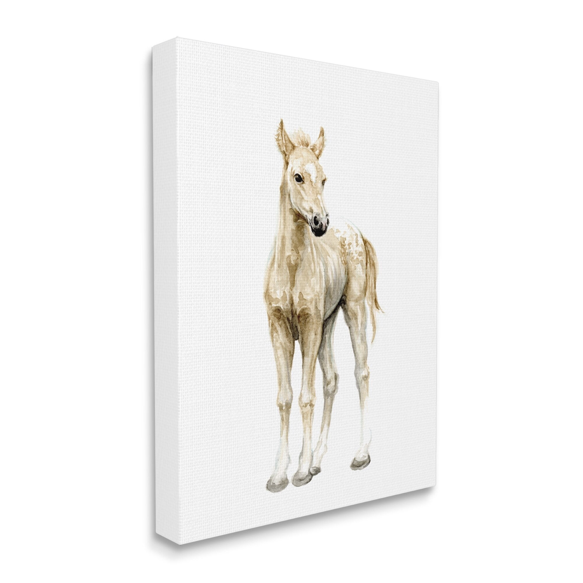 Stupell Industries Baby Horse Foal Watercolor Portrait Kids' Nursery Animal, 36 x 48,Design by Fox Hollow Studios