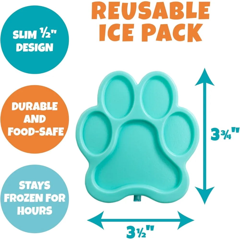 Bentology Kids Lunch Bag Set - Cheetah - w Reusable Hard Paw Print Ice Pack & Insulated Water Bottle - Hot or Cold Food for Hours - Perfect Lunch Box Kit for Boys & Girls
