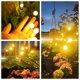 thumbnail image 5 of Luces solares de jardín-Nuevas luces de luciérnaga con energía solar de 8 LED mejoradas Luces de luciérnaga solares Luces de jardín vibrantes impermeables al aire libre, 5 of 5