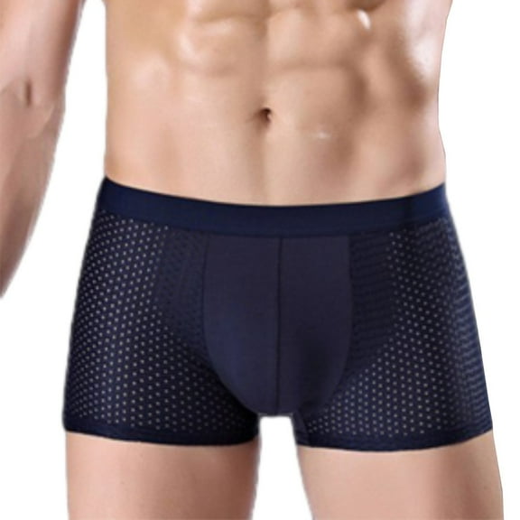 Men Underwear Ice silk Boxer briefs Mesh Boxer briefs