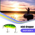 thumbnail image 2 of Mini 5 cm señuelos de pesca en forma de rata en forma de boca deformada Control preciso ABS Streamine forma Forma Reducir la resistencia al viento Cebo para el tipo de trolling tipo 4 AweSitey OD019648-04B, 2 of 7