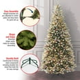 thumbnail image 7 of 7.5 ft. Pre-Lit Artificial Dunhill Fir® Slim Christmas Tree, Green, Clear Lights, Pinecones, Red Berries, Berry Clusters, Flocked Branches, Includes Stand, 7 of 7