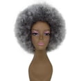 thumbnail image 2 of LUXLUXE Taylor 14" Curly Full Cap Synthetic Wig, Heat-Resistant Fiber Charcoal Mixed Gray Hair for Party & Daily Wear, 2 of 8