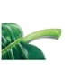 thumbnail image 3 of Flotador Inflable de Palmera Intex Para Playa y Alberca 58782EU, 3 of 3
