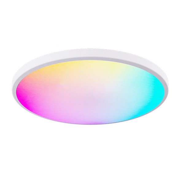 Neoglint Lampe de Plafond RGBCW Couleur Complète Lampe de Plafond LED Ronde