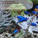 thumbnail image 4 of unbranded 3Ud Pinzas Para Acuario Profesional Para Y Mantenimiento En, 4 of 8