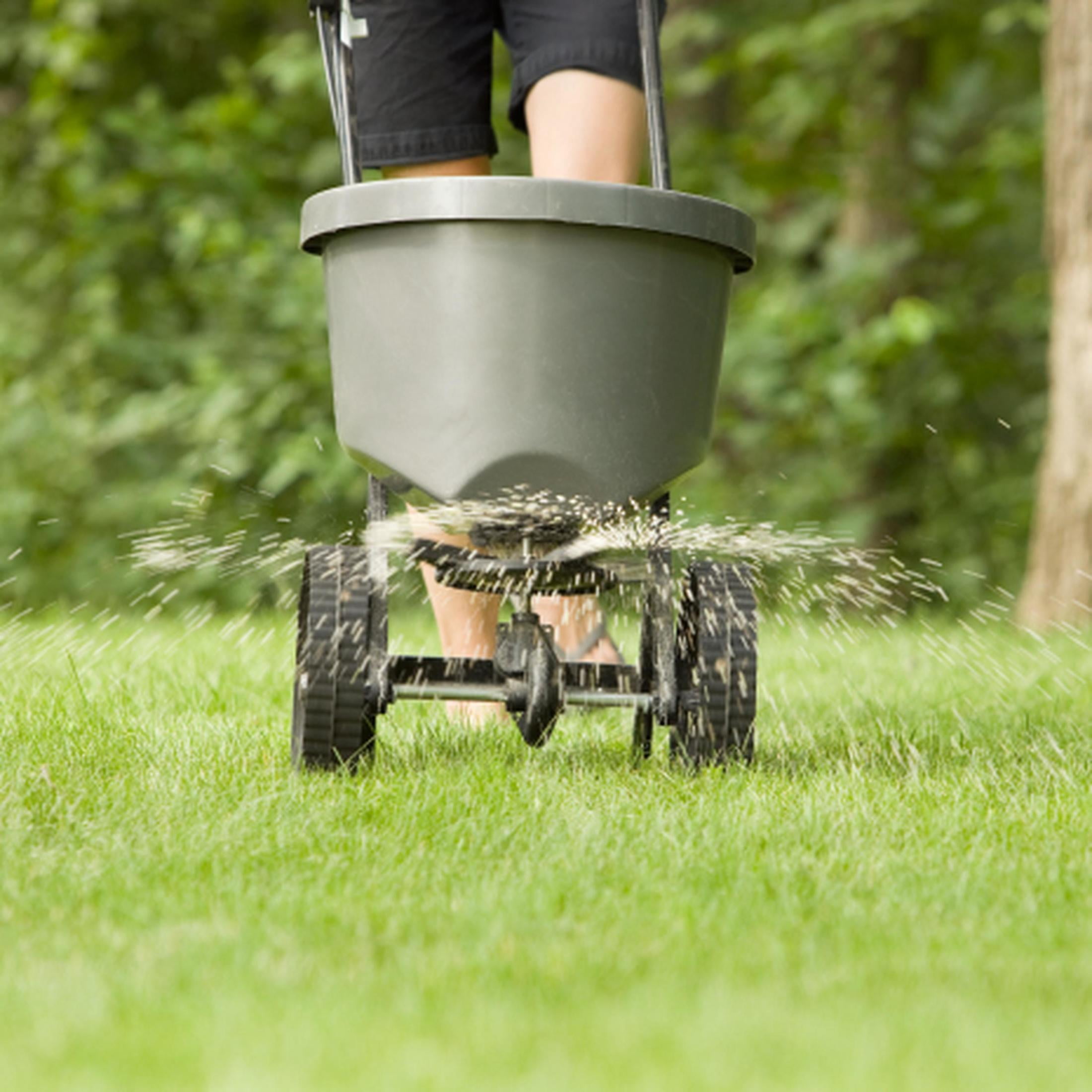 Lilly Miller Moss Out! for Lawns with 10% Iron, Moss Weed Killer, 20 lb. 1 Count