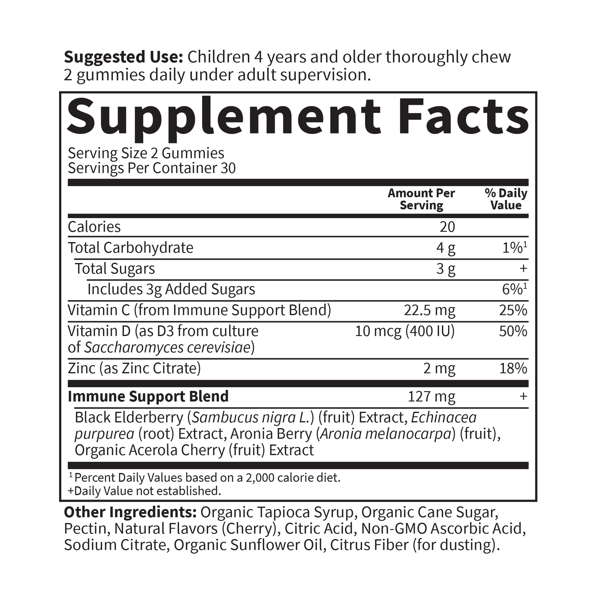 Garden of Life Dr. Formulated Kids Elderberry Immune Support Gummies, with Echinacea, Zinc, Vitamins C & D, 30 Servings