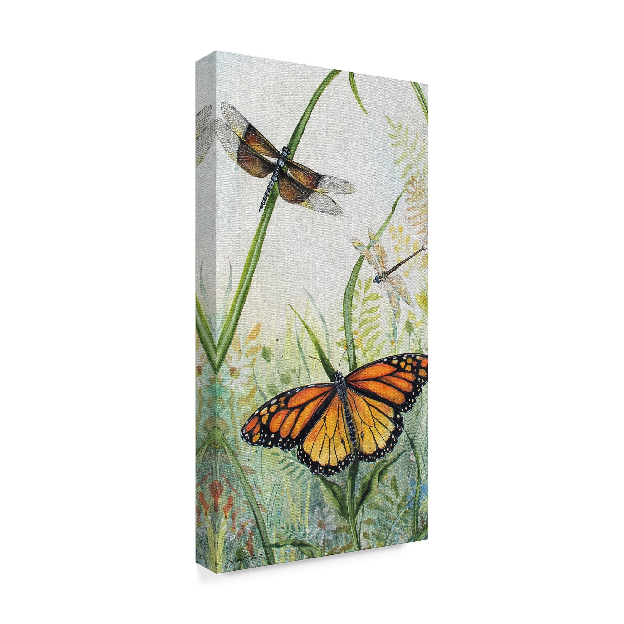 Trademark Fine Art 'Botanical Beauties 5' Canvas Art by Jean Plout