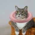 Gymnture Collar Cat Recovery Cone Dog Pet Collars Cones Medical Dogs