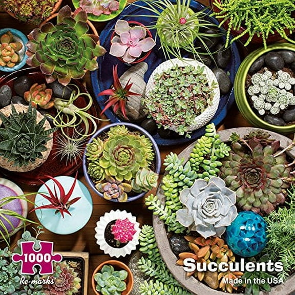 Re-marks Succulents 1000 Piece Puzzle