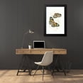 thumbnail image 4 of James Duncan 16x24 Black Modern Framed Museum Art Print Titled - Cethosia Cyane (1858), 4 of 5