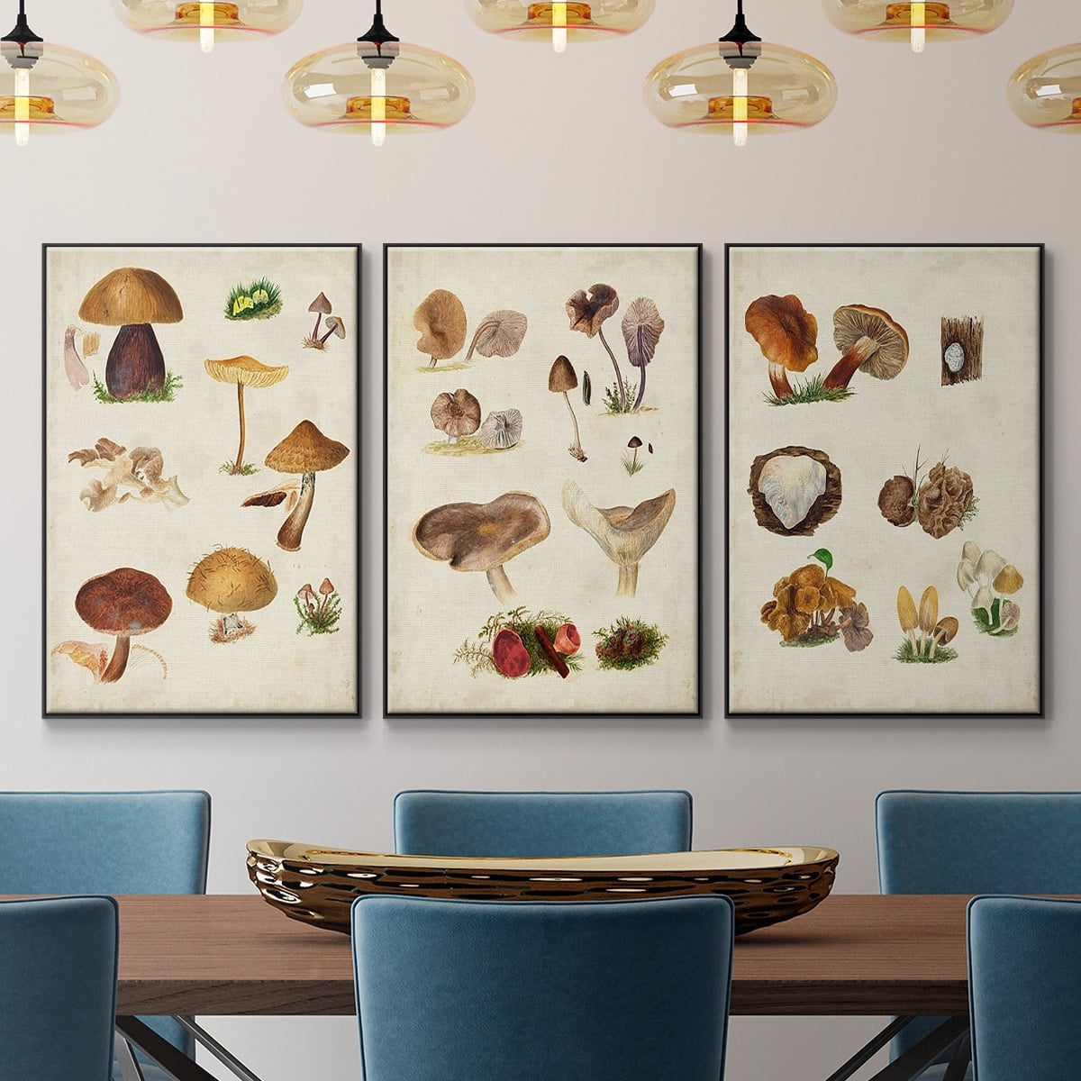 Mushroom Species I - Framed Premium Gallery Wrapped Canvas L Frame 3 Piece Set - Ready to Hang