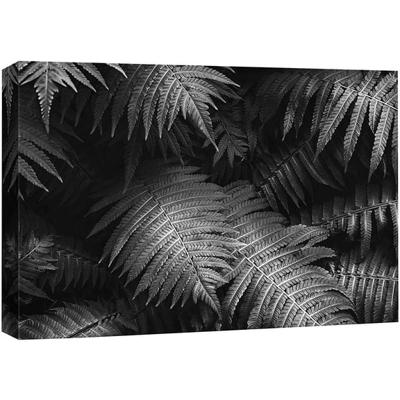 wall26 Canvas Print Wall Art Broad Beech Fern Leaves Group Collage Floral Nature Photography Minimalism Tropical Scenic Relax/Calm Black and White for Living Room, Bedroom, Office - 16"x24"