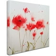 thumbnail image 2 of Trademark Fine Art "A Poppy Moment" Canvas Art by Sheila Golden, 2 of 3