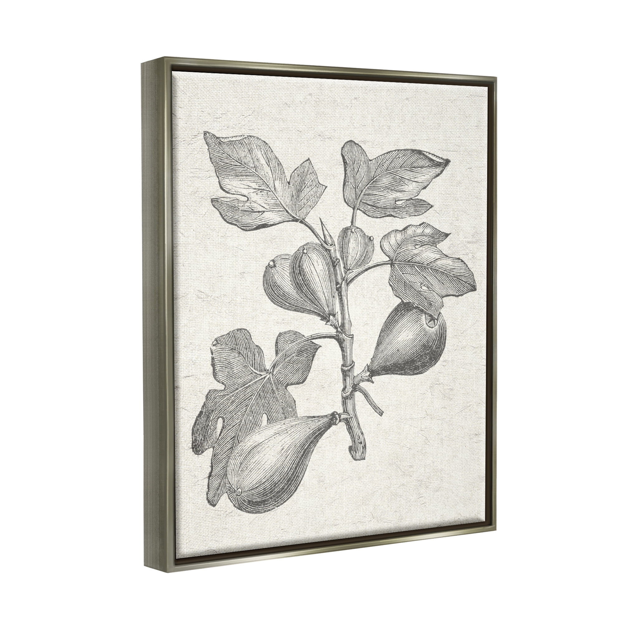 Stupell Industries Vintage Fig Plant Study Drawing Botanical & Floral Painting Gray Floater Framed Art Print Wall Art
