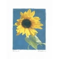 thumbnail image 2 of Melious, Amy 12x14 Black Ornate Wood Framed with Double Matting Museum Art Print Titled - Summer I, 2 of 4