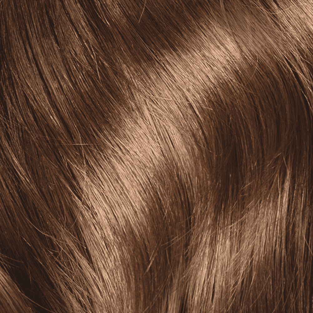 L'Oreal Paris Le Color Gloss One Step Toning Gloss Hair Color, 5 Rich Brunette, 4 fl oz