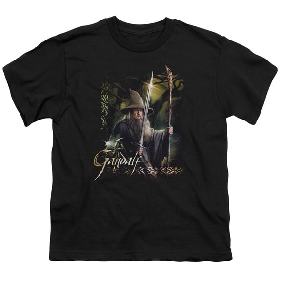 The Hobbit Sword And Staff Big Boys Shirt