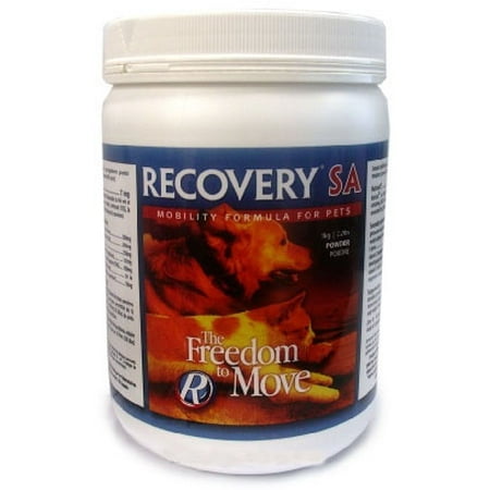 Base 2.2 Lb Powder - Recovery SA Powder 2.2 lb