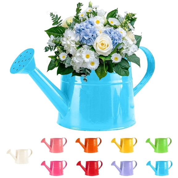 White Watering Can Metal, 1 L Galvanized Metal Watering Can, Vintage Sprinkling Tin Watering Can for Indoor Outdoor Plants, Flowers Garden Indoor Outdoor