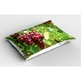 thumbnail image 2 of Ambesonne Grape Pillow Sham 2 Pack, Bunch of Wine Fruits Foliage, 36"x20", Lime Green Dark Coral, 2 of 3