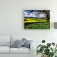 thumbnail image 3 of Trademark Fine Art 'Pastoral Countryside XIV' Canvas Art by Colby Chester, 3 of 4