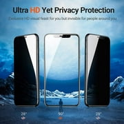 For iPhone 12 Pro Max Anti-Peeping Tempered Film Screen Privacy Protector 3pcs Set Anti-Spy Tempered Glass Privacy Protection