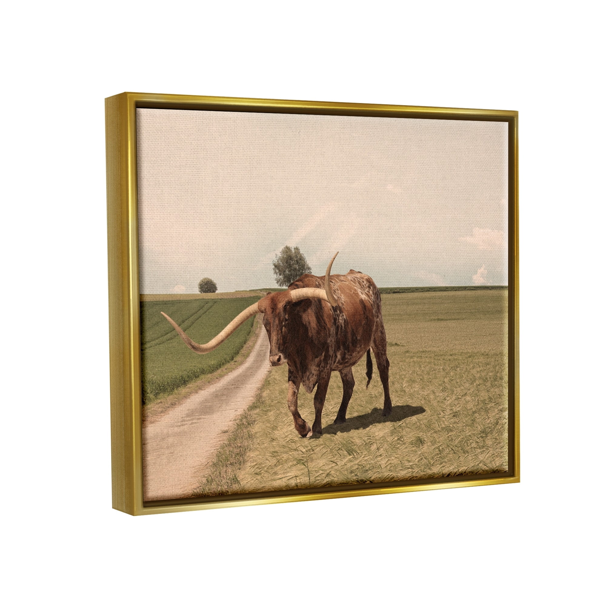 Stupell Industries Longhorn Cattle Grazing Scenic Countryside Landscape Photograph Metallic Gold Floating Framed Canvas Print Wall Art, Design by Marcus Prime