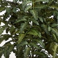 thumbnail image 4 of Nearly Natural Bracken Artificial Fern In Wooden Planter, 4 of 4